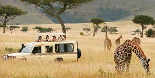 6 Day Luxury Package Serengeti Ngorongoro & Zanzibar