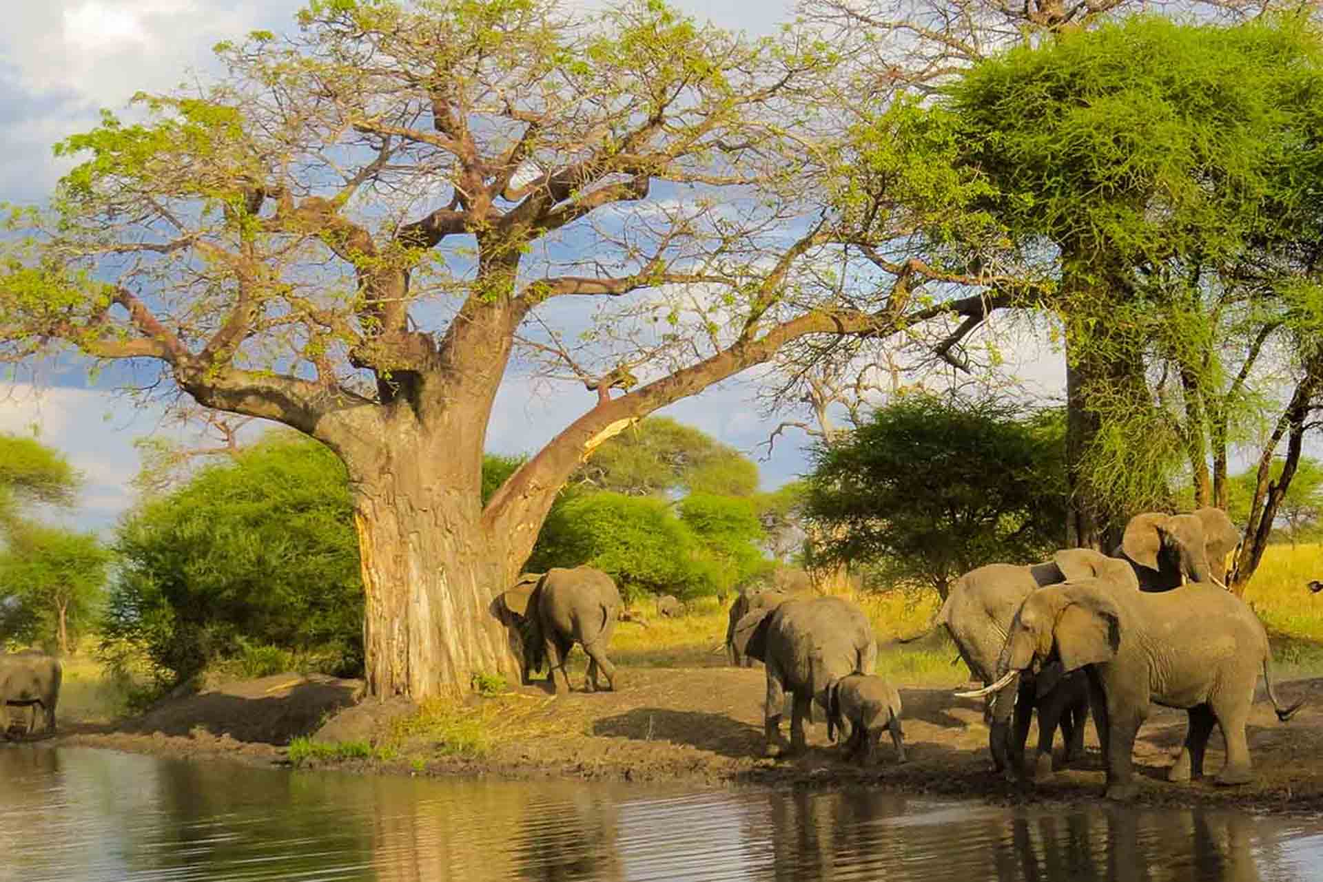 arusha national park